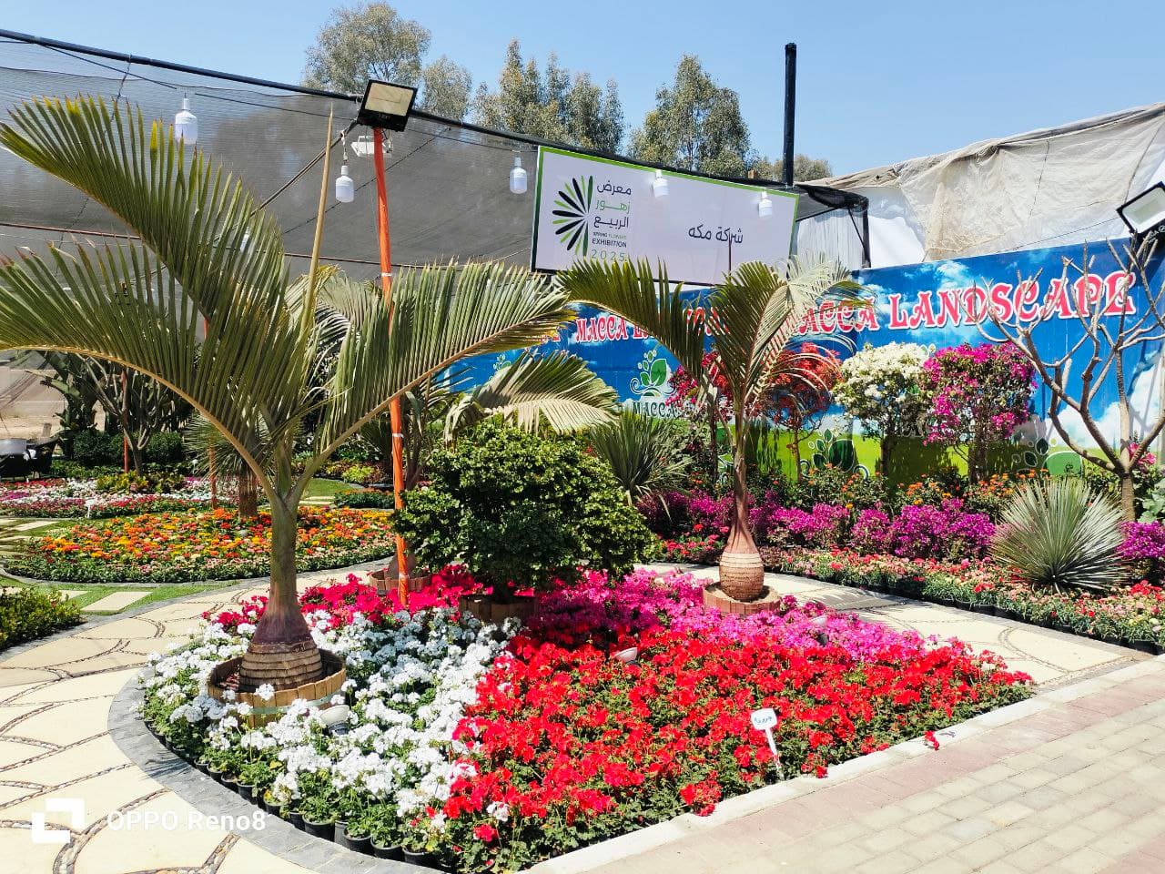 معرض المناظر الطبيعية الجميلة
