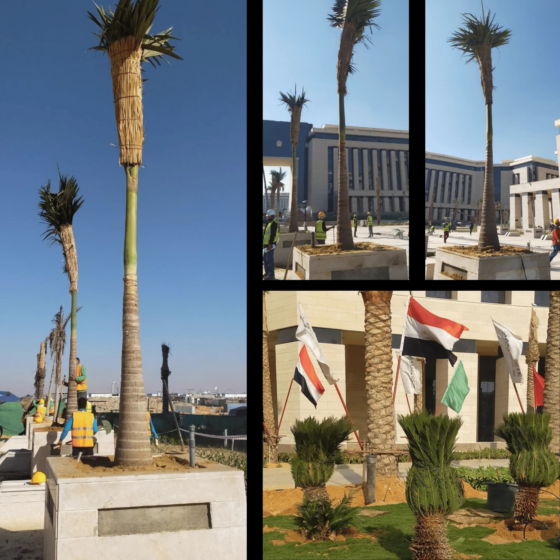 Image of حي الوزراء العاصمة الإدارية  project (حكومي)