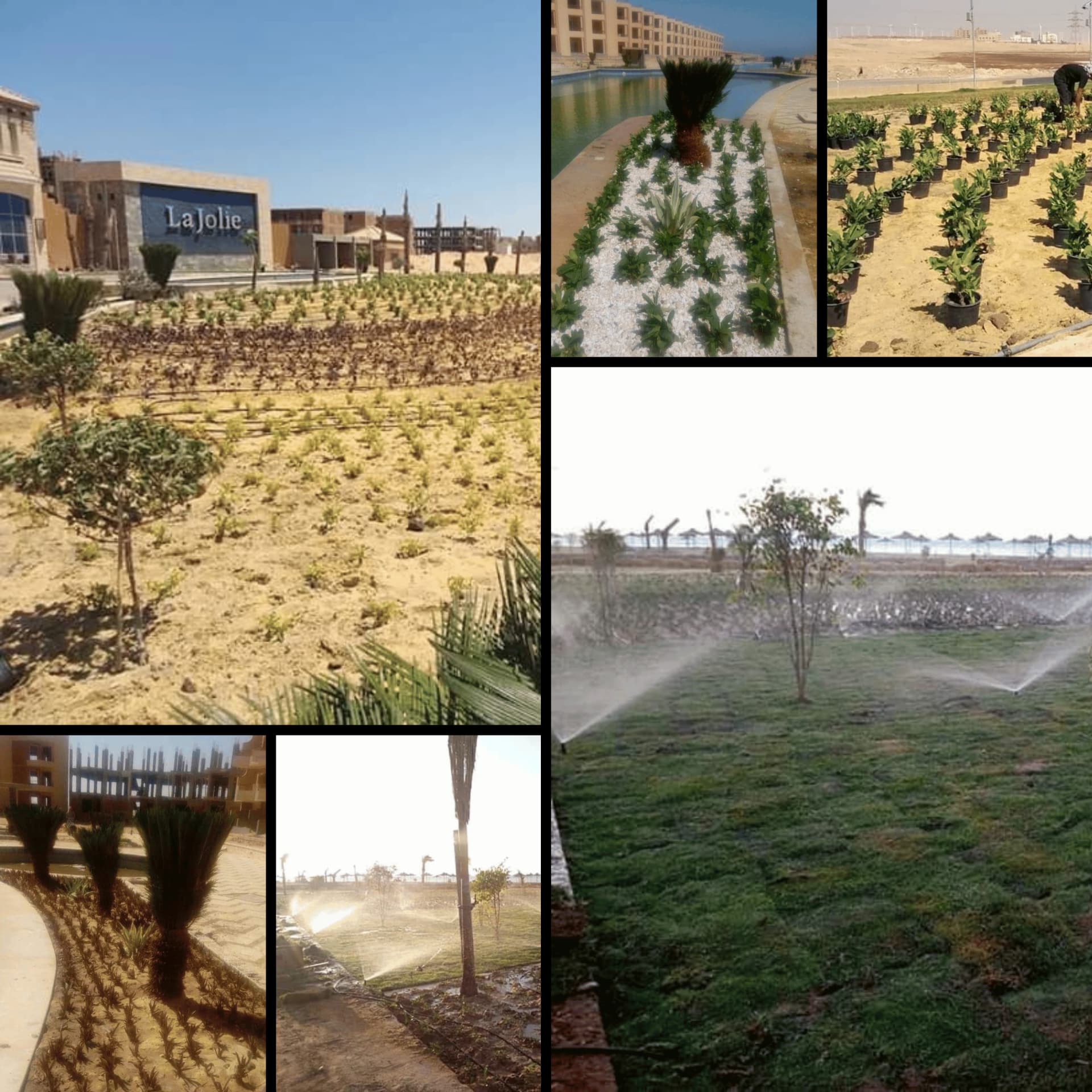 Image of مدينة الزعفرانة project (مدن)
