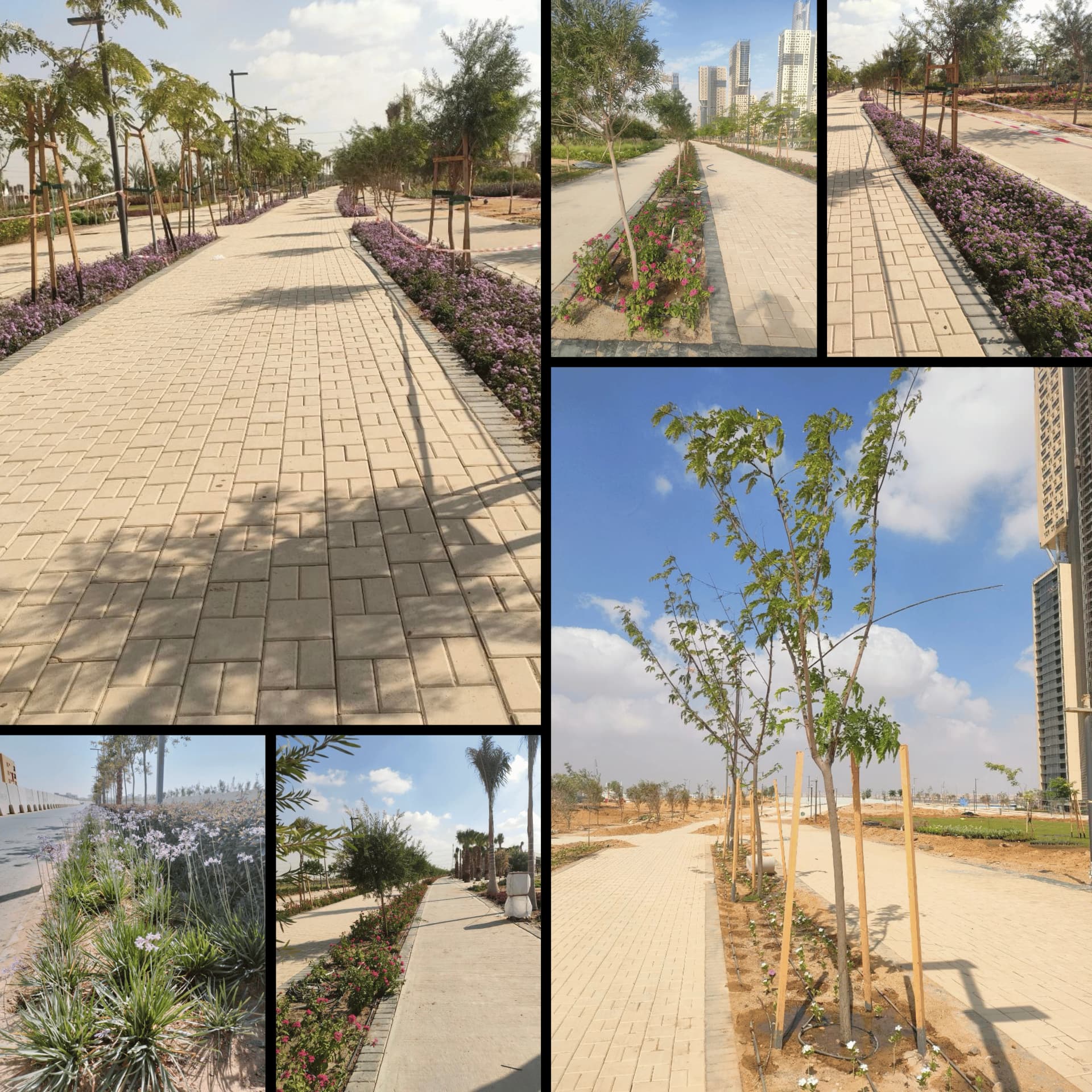 Image of النهر الأخضر العاصمة الإدارية project (حكومي)