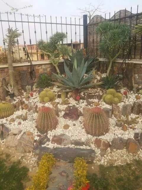 فلل خاصة صورة رقم 12