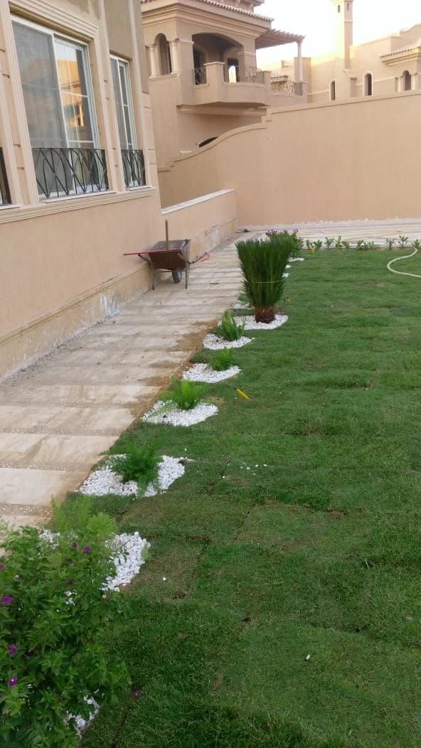 فلل خاصة صورة رقم 25