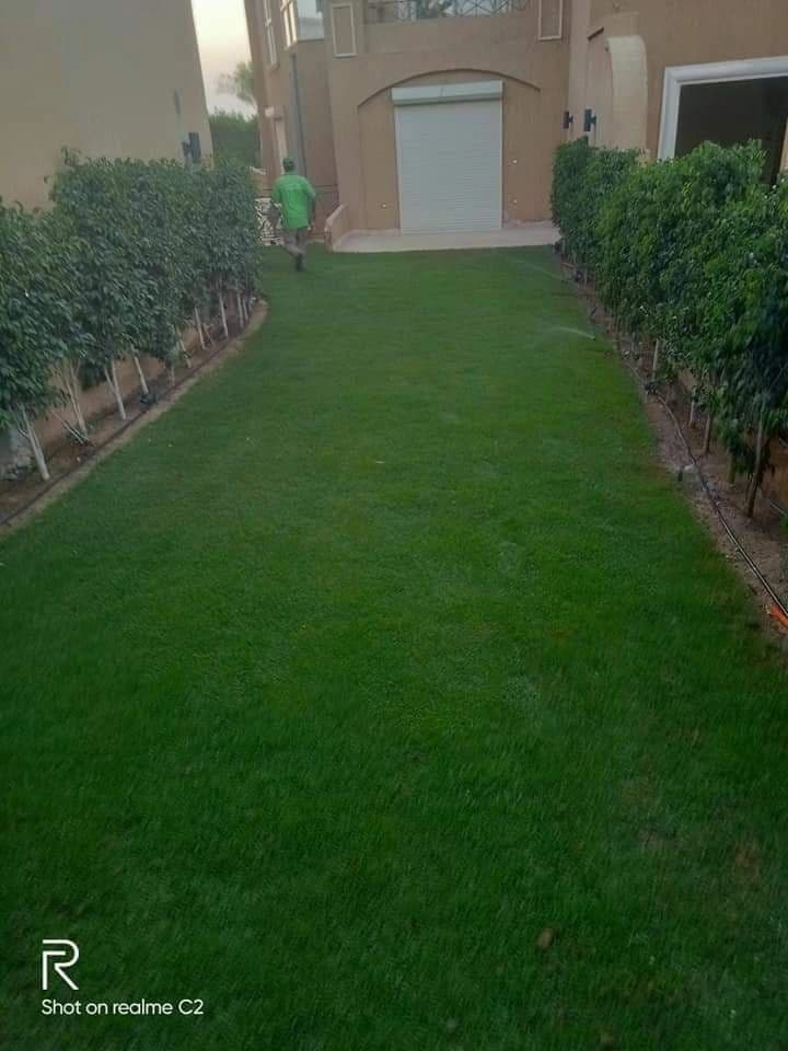 فلل خاصة صورة رقم 26